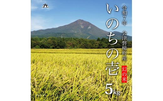 y֒򒬁zyߘa7NYEVāz̕ ̂̈ ʍ͔|ā@5kgy_Ew엿z