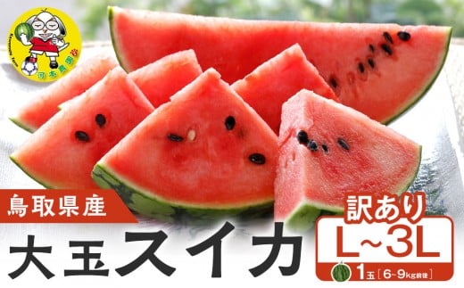 y挧khz.挧Y ʃXCJ 󂠂 1 6-9LOL-3Li̕ԗíAhZł͂܂jyZ XCJ ʕ t[c  挧 kh  lC VN 