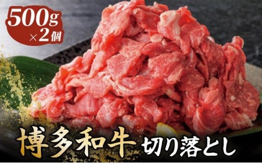 yIzaؗ500g×2 (v1kg)