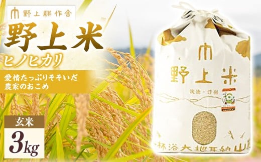 y͎szy2025N10{菇Jnzk ăqmqJ 3kg Ђ̂Ђ     Y BY  ͎s