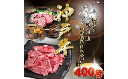 yɌ_͒z󂠂 _ˋ ēp(ʂ܂)400g KKWY1 2026N4菇y1682948z