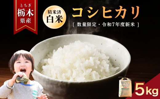 yȖ،szys\zЂ  5kg |    ~L[NC[ ʂ͂Ȃ Ƃ̐ RVqJ Ђ  ٓ Iׂ  ӂ邳 [ Ȗ، 