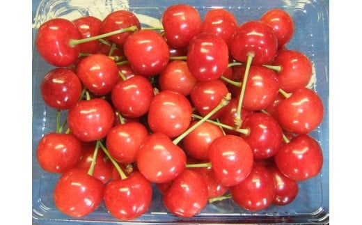 yR`RszځiсjTOO@QkTCY@0112-2611