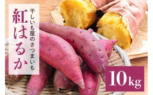 y錧ʎsẑ܂ig͂邩j 10kg Tc}C ܈  ׂɂ͂邩 xjnJ Y 錧Y   ₫ Ă Ă Ĉ  XC[c P[