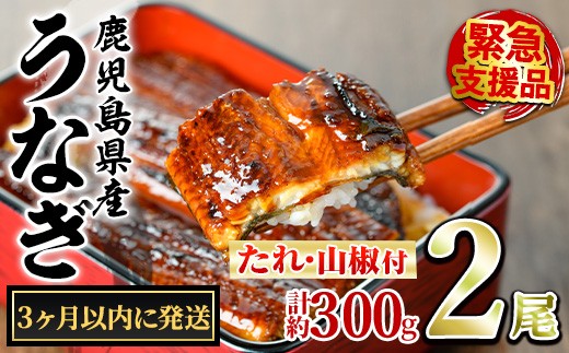 yǒzy0114335az3ȓɔ\聄ǒ̂Ȃ()(2Ev300gE^ARt) Ȃ  EiM V Y  Ă   ӂ邳 lC yA