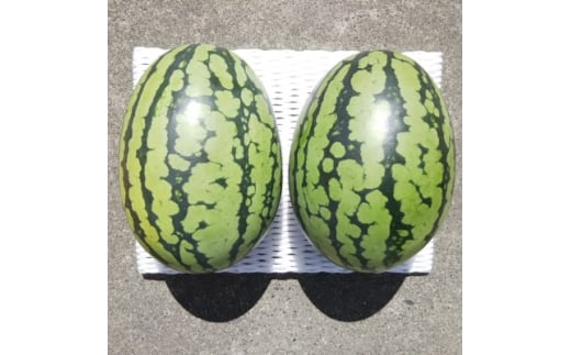 yÉ֓cszst/2026N8{蔭2!Ăvy!VQ!XCJՂƁy1685556z