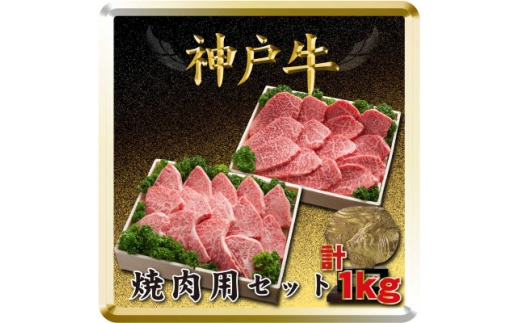 yɌqz_ˋ ēpZbg v1Kg TSYS5 2026N4菇y1682638z