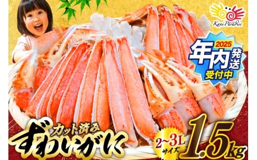 y{錧CszJbg  킢 ނg Zbg d 1.5kg (d1.2kg) 2-3LTCY [Jl_C {錧 Cs 20565690]  Jj YCKj 킢 YC I _ |[V