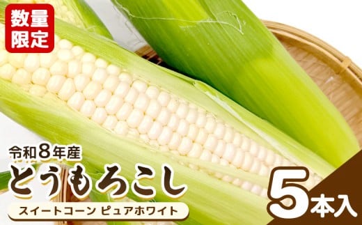 y{錧Ύszߘa8NY\JnʌI Ƃ낱 XC[gR[ sAzCg 5{ | Ƃ낱 sAzCg   VN o[xL[ Â W[V[