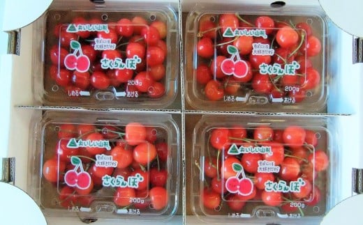 yR`RszځiсjQOO×SpbN@ƒp@0112-2612