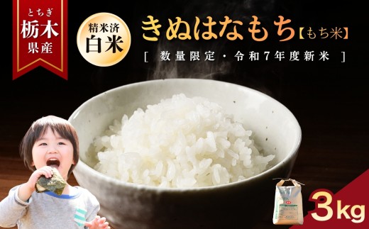 yȖ،szʂ͂Ȃ()  3kg |    ~L[NC[ ʂ͂Ȃ Ƃ̐ RVqJ Ђ  ٓ Iׂ  ӂ邳 [ Ȗ، s