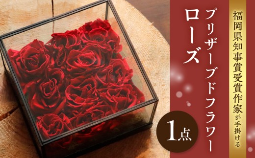 yszm܎܍ƂɂvU[uht[[Y vU[uht[  t[ o KN [Y Mtg v[g 蕨  s