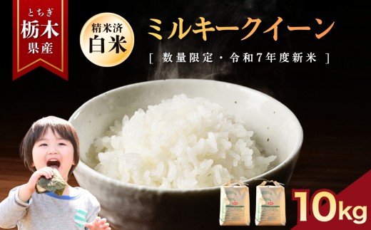 yȖ،szys\z~L[NC[  10kg |    ~L[NC[ ʂ͂Ȃ Ƃ̐ RVqJ Ђ  ٓ Iׂ  ӂ邳 [ 