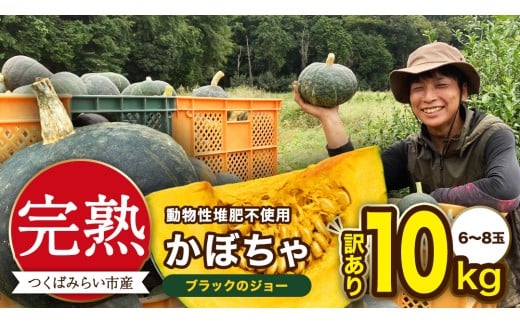 y錧΂݂炢szy A znڂ ubÑW[ 10kgi6`8ʁj ڂ ڂ قق ˂Ƃ Â Y 錧Y A   Y