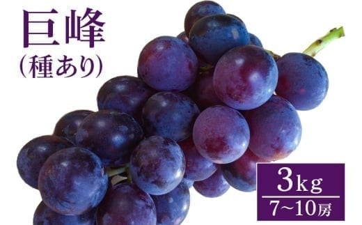 y錧Ήszy 2026N s\ z  3kg ( 킠) JcԂǂ 7[ ` 10[ Ԃǂ uhE Y ʕ   t[c 3L 8 { 9   H { i 錧Y Yn