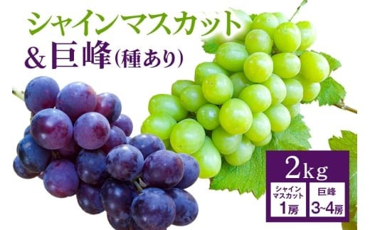 y錧Ήszy 2026N s\ z VC}XJbg   i킠jZbg v 2kg JcԂǂ Ԃǂ uhE Y ʕ   t[c Zbg Mtg 2L 9 