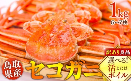 y挧khzyIׂI܂̓{Cz挧Y ZRKj 󂠂Ǖi 1kg(5`7)2025/11/6`2025/12/25ɏ\聦ws  sikCA{͔z\j b I 