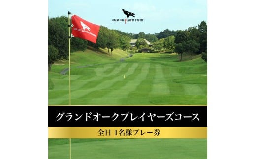 yɌszOhI[N vC[YR[X S 1l v[ [ St s Ɍ ֐ St ]