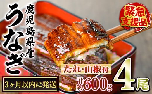 yǒzy0224337az3ȓɔ\聄ǒ̂Ȃ()(4Ev600gE^ARt) Ȃ  EiM V Y  Ă   ӂ邳 lC yA