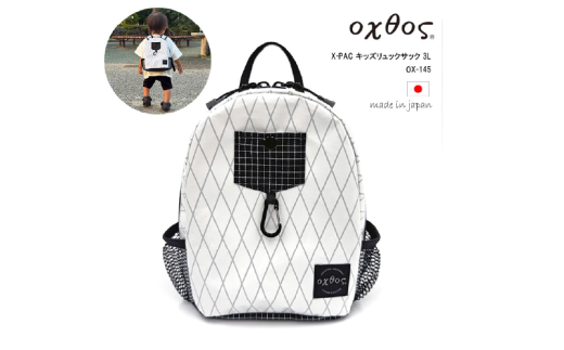 yΐ쌧Hszoxtos(INgX) X-PAC LbYbNTbN 3L OX-145 y x h Jri |Pbg AEghA q LbY p bN bNTbN Lv o  ΐ