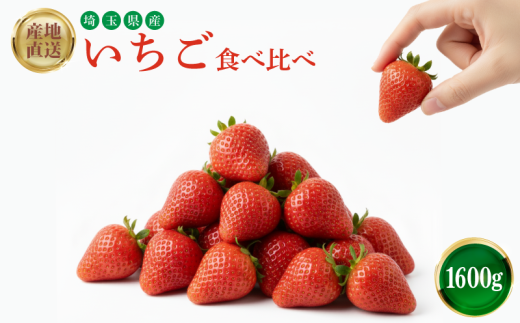 yʌHszn Hה \t 1.6kg   C`S Xgx[  ڂ gق ݂̂ Cx[ strawberry Yn ichigo n ʕ  t[
