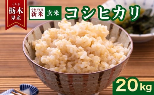 yȖ،szy2026Ns\zRVqJ  20kg |      RVqJ Ђ  ߘa8N Y ٓ Iׂ  ԉ ӂ邳 [ Ȗ، s