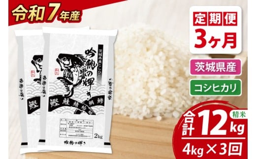 y錧zy3ցz ߘaVNY V RVqJ 4kgi2kg×2܁j × 3  Ђ  ͂ R   Y 錧Y