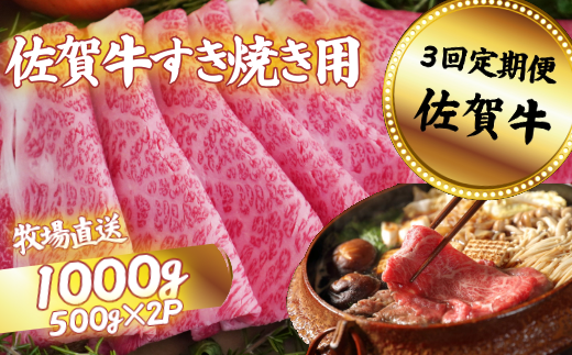 yꌧszy3zꋍ ₫p XCX 1000gFC104-008