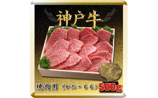 yɌqz_ˋ Ăp 500g TSY2 2026N4菇y1682630z