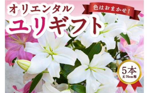 y͎szy2026N6͂z㓡ԙ IG^   S   A Mtg 蕨 v[g ӏܗp LO ①  ͎s