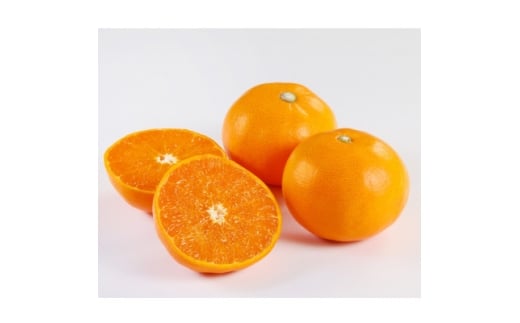 yQlszƒpƂ1.5kgA21-54y1682655z