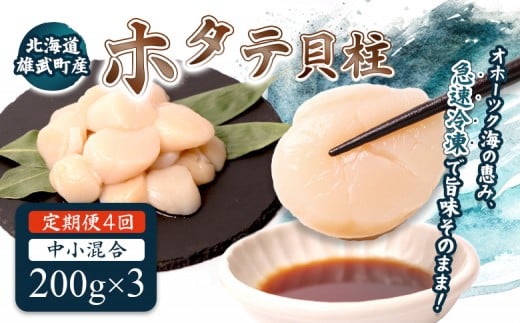 ykCYzy4z@kCYYقĊL  200g×3 (Ⓚ) g؂pbN@| ӂ邳Ɣ[ kC Y z^e  ق   嗱 200g×3 2.4kg Ⓚ Iz[c