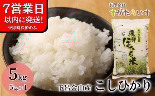 y򕌌Csz[yߘa7NYāzЂ 5kg 炢  2025NY    CsRY RVqJ