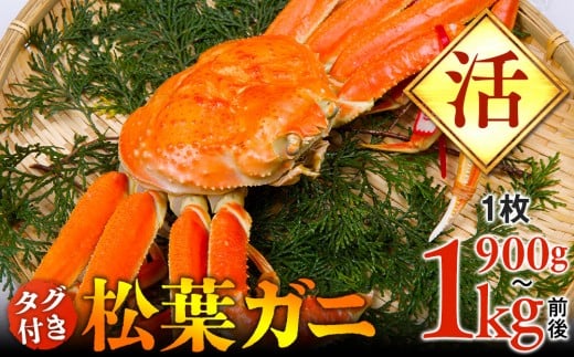 y挧khzyz^OttKj@1i900g`1kgOjywsz2025N11{`2026N3{ɏ\s Jj It