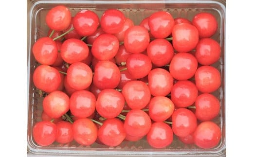 yR`RszځiсjTOO@ƒp@0112-2605