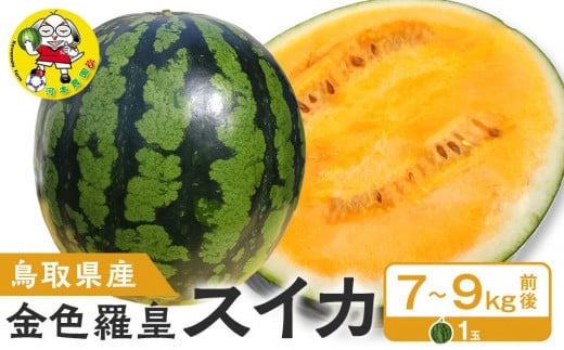 y挧khz挧Y FcXCJ 1 7-9LOi̕ԗíAhZł͂܂jyFcZ Z XCJ ʕ t[c 挧 kh  lC VN 1