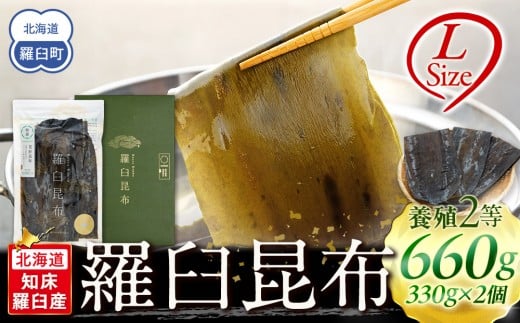 ykCPzPz VR 2 660gZbg(LTCY330g×2) kC m PY Y x 