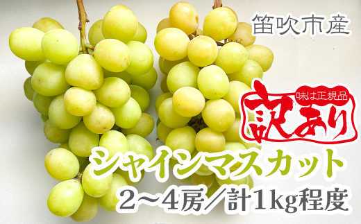 yRJszy2026Ns\zy󂠂izRYVC}XJbg2[`4[(v1kgx)@229-009-26y