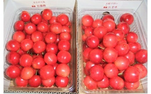 yR`RszږׁiтƍgGjP@0112-2607