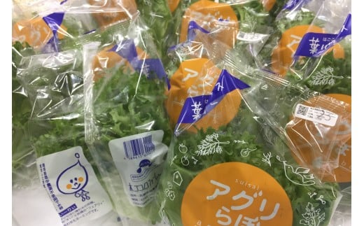 yɌszAHY@킸ɐHׂt^X@12܃Zbg [ k͔| ͔|Ԓ_sgp]