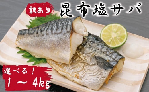 yQlsz󂠂 To   To I z z Ⓚ tB tB[ ؂g e yls ̂܂ {z