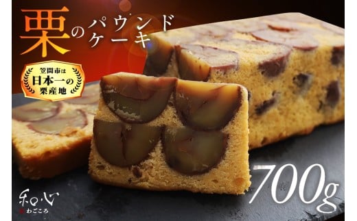 y錧}ԎszpEhP[L 700g P[L I ĨpEhP[L  N IXC[c XC[c Y  Mtg v[g a o^[ GVo^[ aS [ }Ԏs 