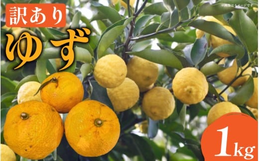 ygsz󂠂 䂸 1kg ƒp 11 ͔|Ԓ _sgp Mq { ʎ ʏ` ݂ k t[c _ ς  lC IXX  O nC{[ Ē r