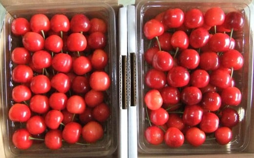 yR`RszځiсjTOO×QpbN@0112-2614