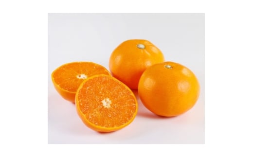 yQlszƒpƂ3kgC21-55y1682659z