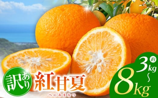 yF{ʖszyIׂeʁz󂠂 gÉ  3`8kg | t[c ʕ  k ~J ݂ É ܂Ȃ F{ ʖs