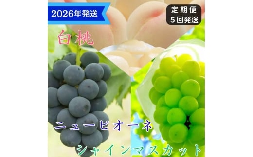 yRʖszy2026Nstz  j[sI[l VC}XJbg  5     Ԃǂ  uhE RY@䒆 Mtg  v[g  j 䋟 