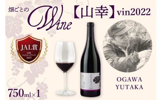 ykC莺zkC\莺 RKyOGAWA YUTAKAz vin2022@me032-063c