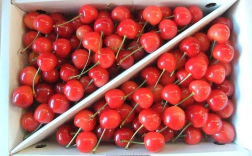 yR`RszځiсjP@ƒp@0112-2613