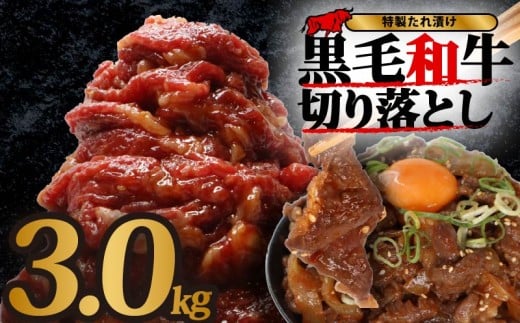 yޗǌޗǎszy Iׂe z Y  a  `̃^ 3kg 15pbN   t ؂藎Ƃ XCX ^Ђ  ^ Ă ē   ēZbg ēp  